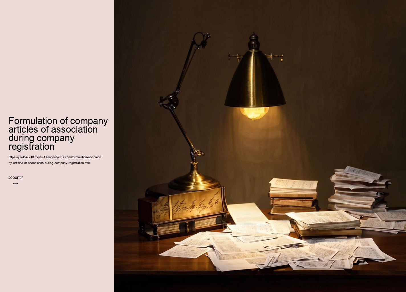 Formulation of company articles of association during company registration